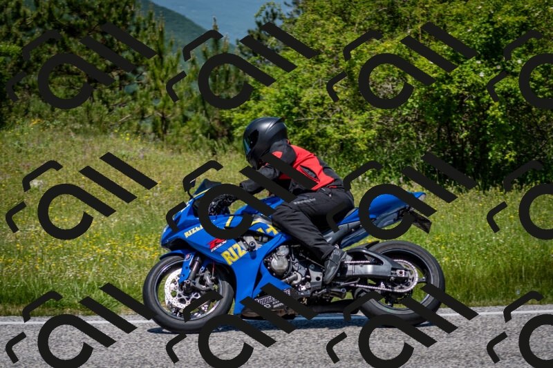 202506081225-DSC_7019_c2