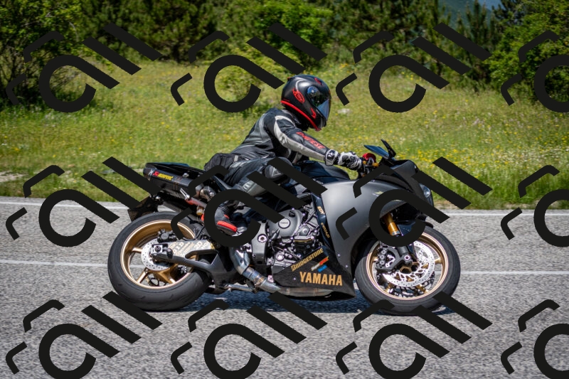 202506081225-DSC_7021_c2