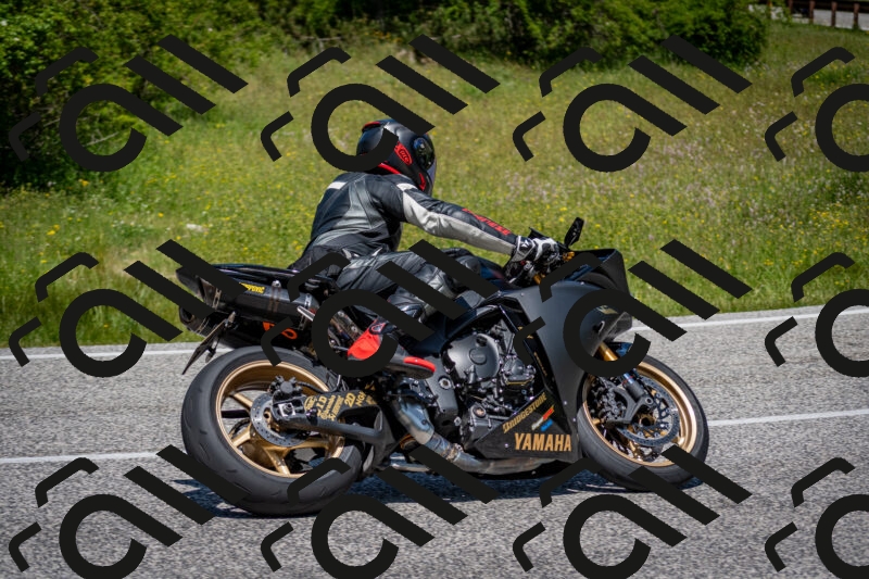 202506081225-DSC_7022_c2