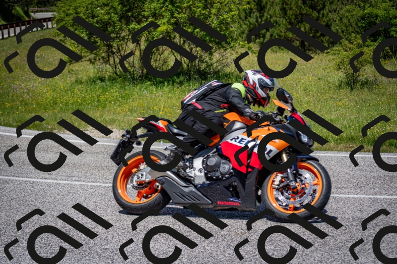 202506081226-DSC_7025_c2