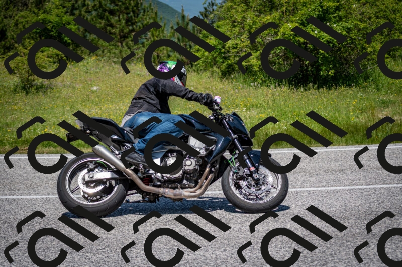 202506081226-DSC_7028_c2