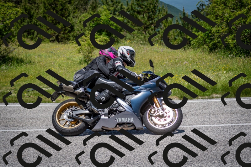 202506081226-DSC_7030_c2