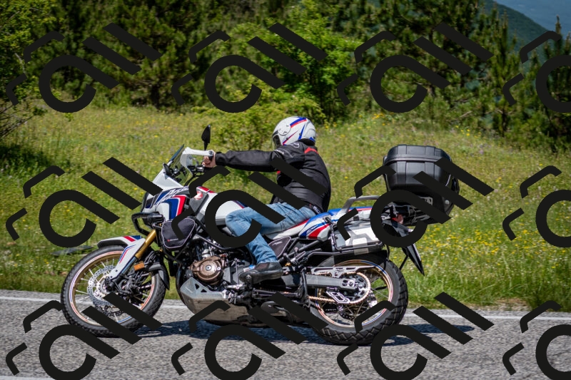 202506081228-DSC_7056_c2