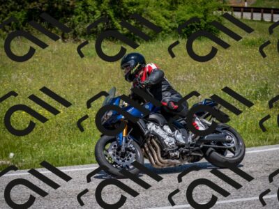 202506081228-DSC_7059_c2