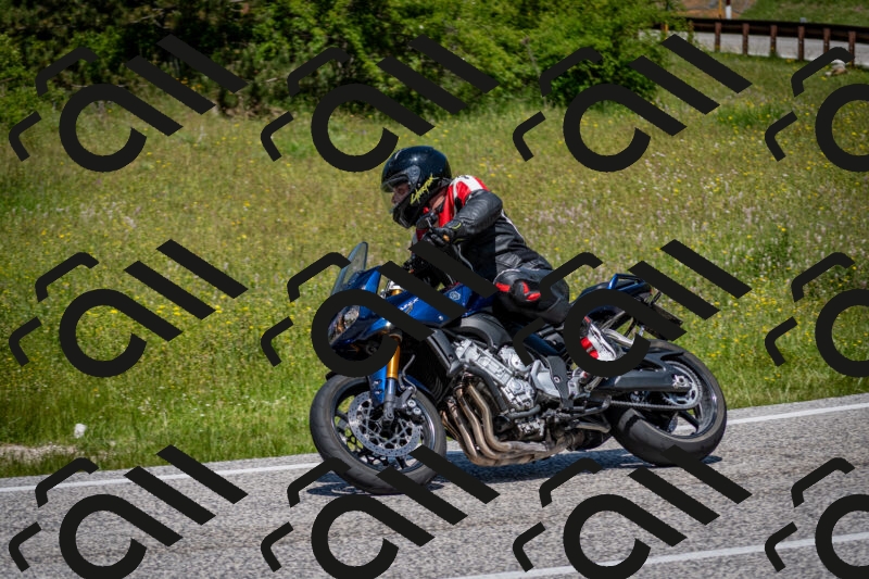 202506081228-DSC_7059_c2