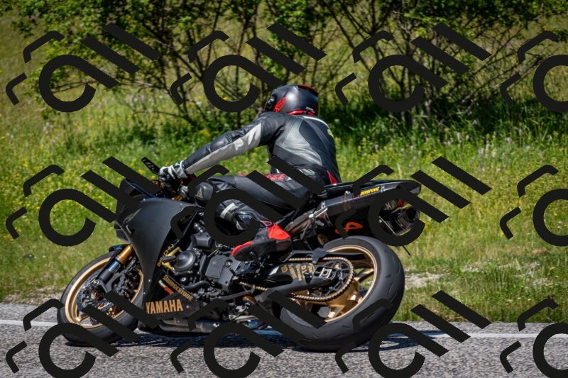 202506081229-DSC_7066_c2