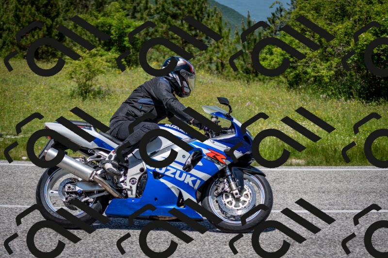 202506081229-DSC_7073_c2