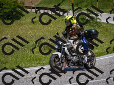 202506081229-DSC_7075_c2