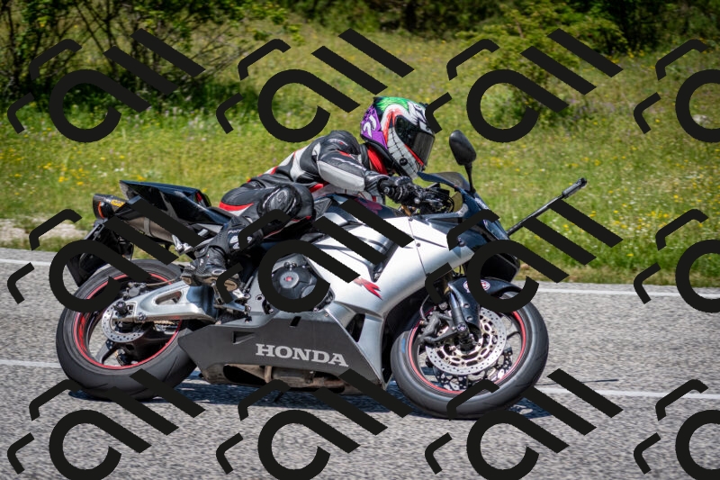 202506081229-DSC_7085_c2