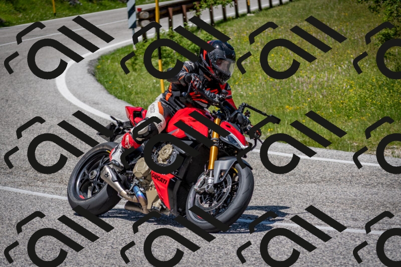 202506081230-DSC_7088_c2