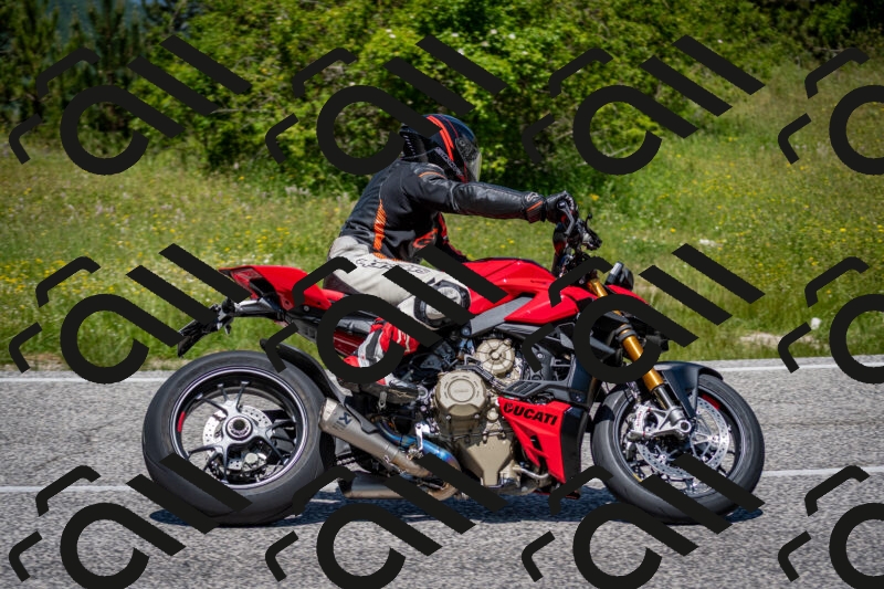 202506081230-DSC_7089_c2