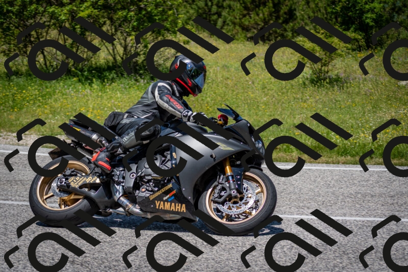 202506081230-DSC_7092_c2