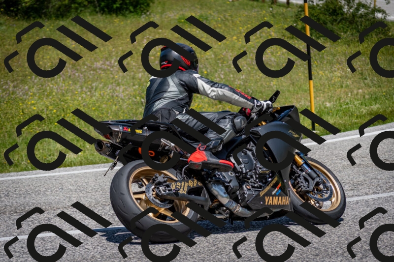 202506081230-DSC_7093_c2