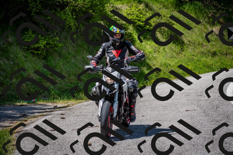 202506081231-DSC_7096_c2