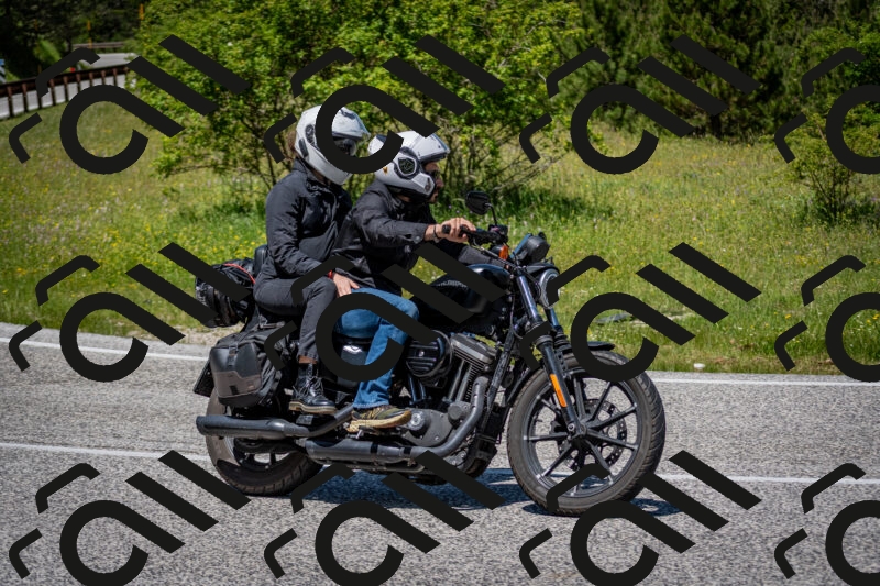 202506081231-DSC_7101_c2