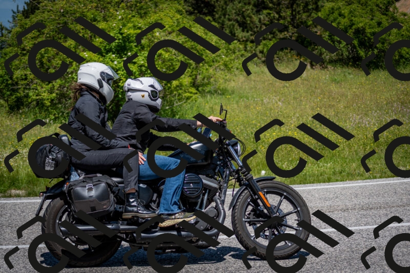 202506081231-DSC_7102_c2