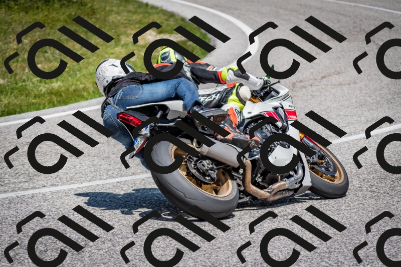 202506081231-DSC_7111_c2