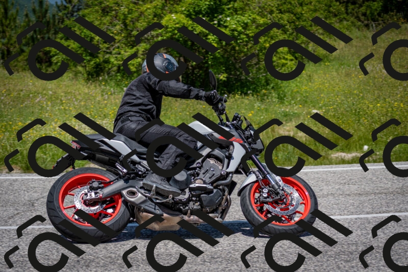 202506081232-DSC_7126_c2