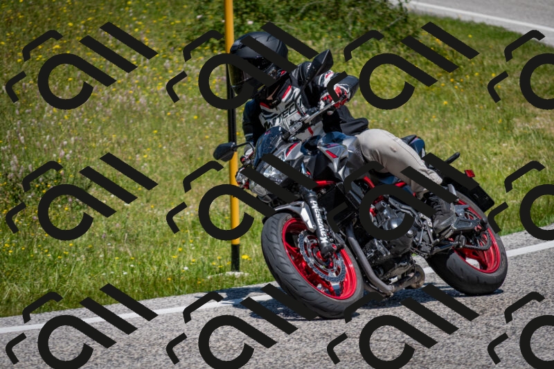 202506081235-DSC_7157_c2