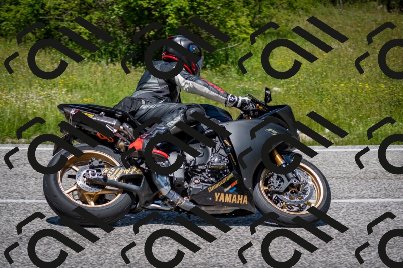 202506081236-DSC_7166_c2