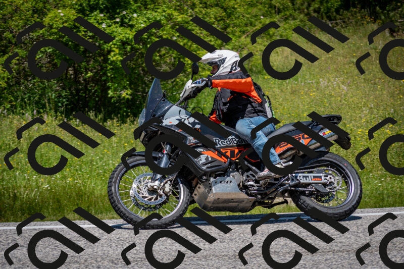 202506081236-DSC_7169_c2