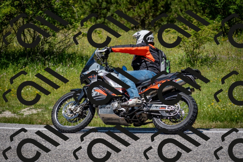 202506081236-DSC_7170_c2