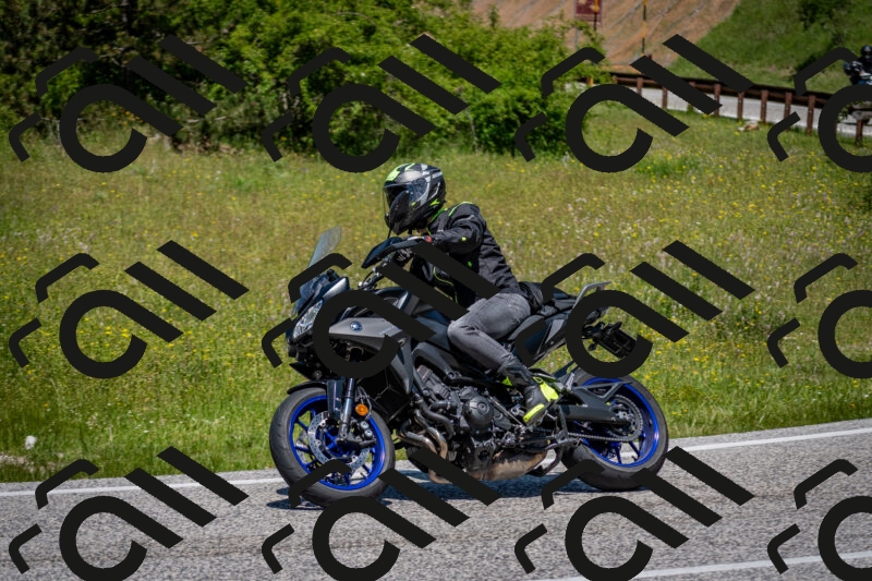 202506081237-DSC_7173_c2