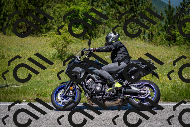 202506081237-DSC_7174_c2