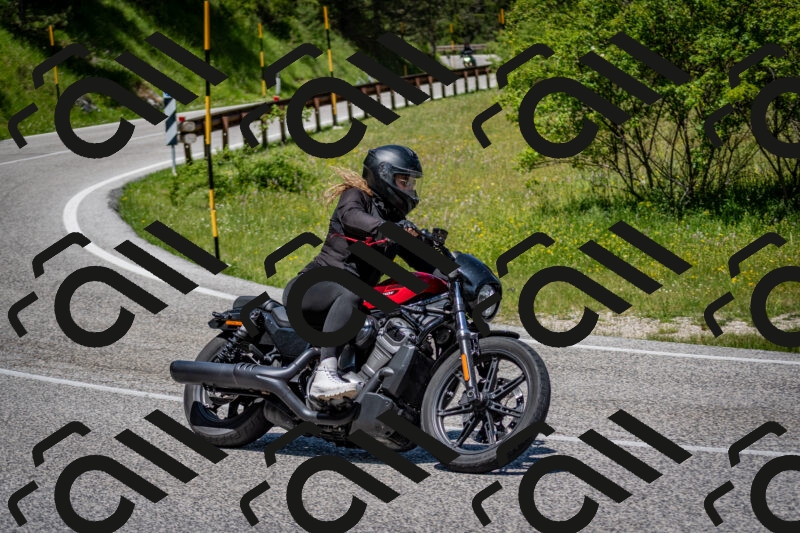 202506081237-DSC_7189_c2