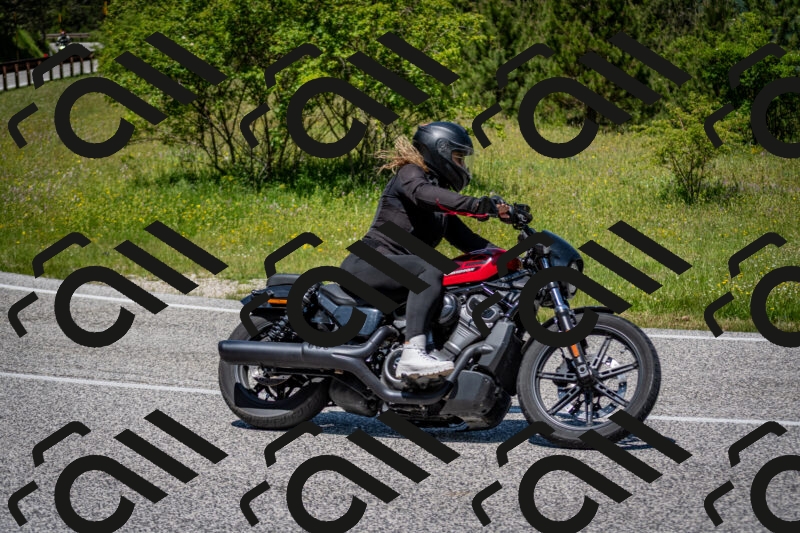 202506081237-DSC_7190_c2