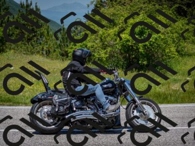 202506081237-DSC_7193_c2