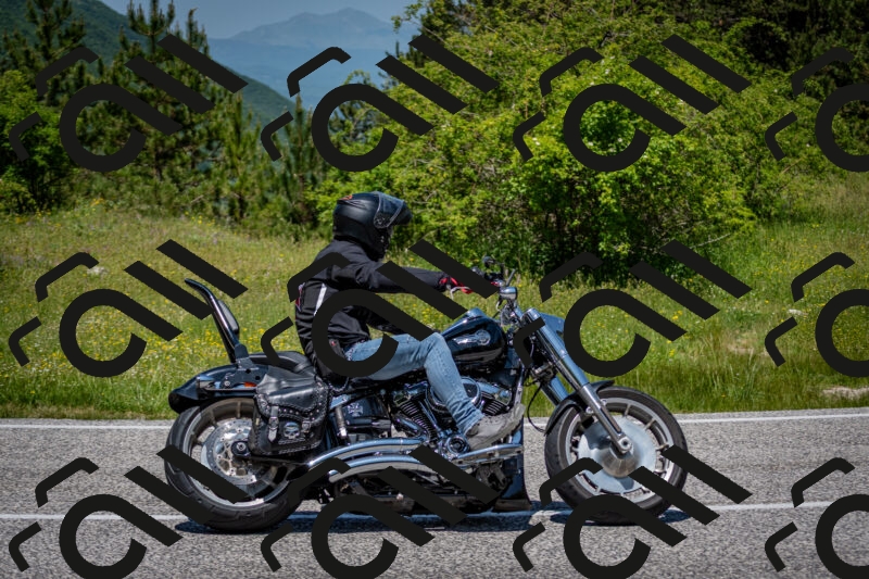 202506081237-DSC_7193_c2