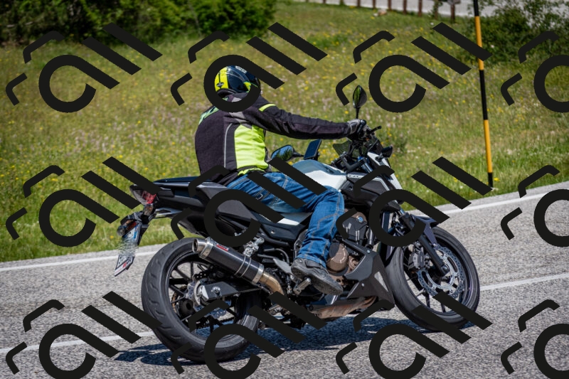 202506081237-DSC_7196_c2