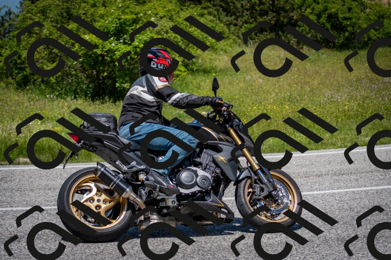 202506081237-DSC_7199_c2