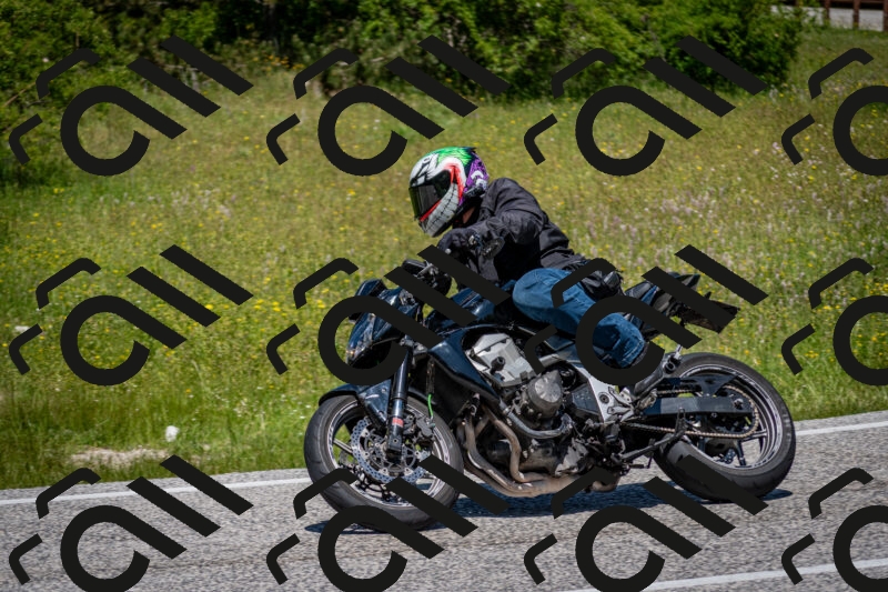 202506081237-DSC_7201_c2