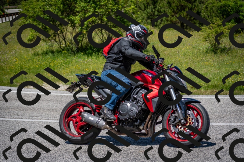 202506081238-DSC_7208_c2