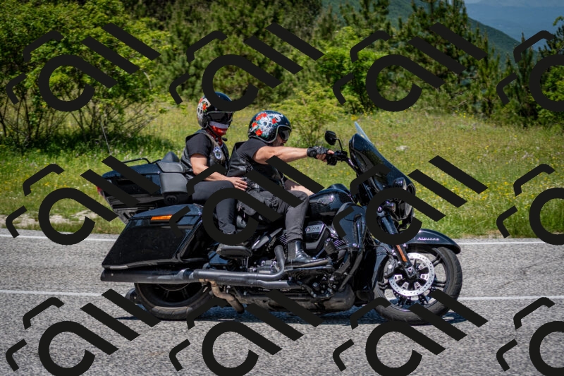 202506081239-DSC_7226_c2