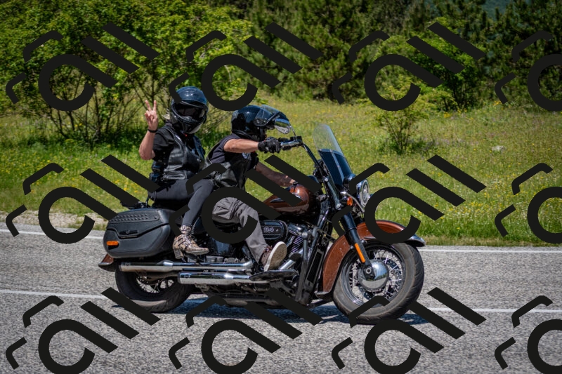 202506081239-DSC_7228_c2