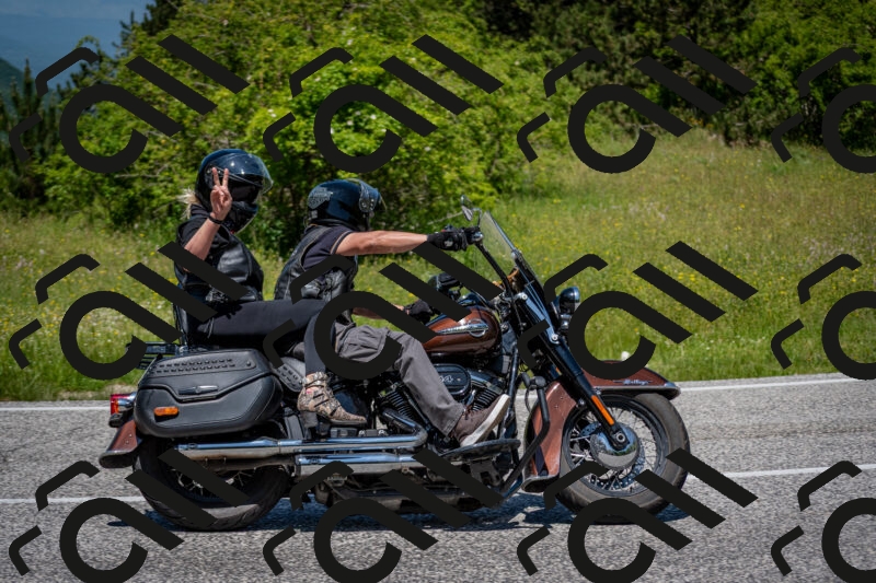 202506081239-DSC_7229_c2