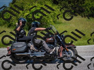 202506081239-DSC_7229_c2