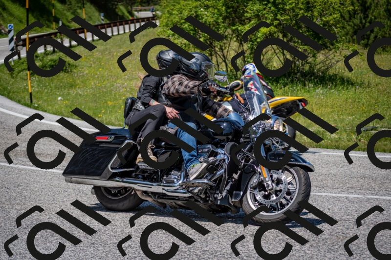 202506081239-DSC_7231_c2