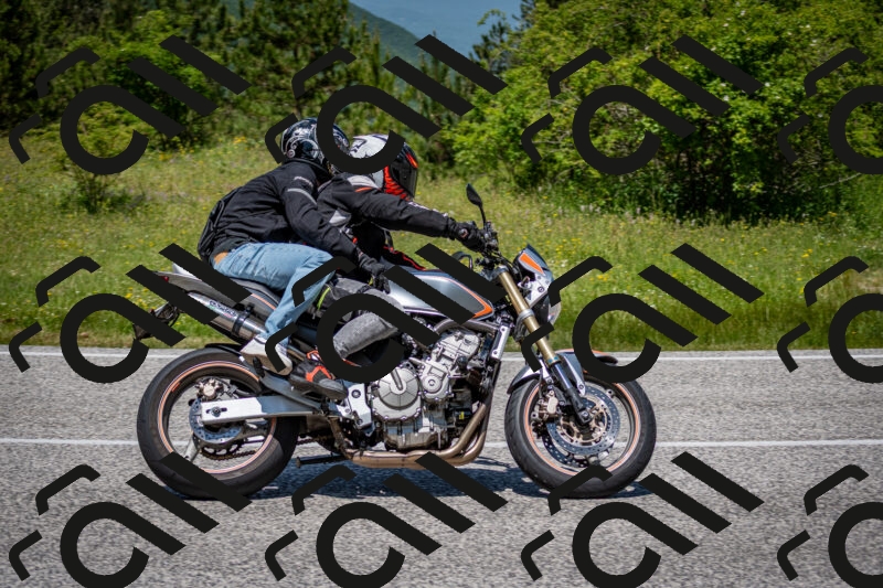 202506081239-DSC_7233_c2