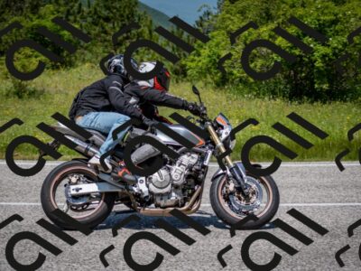 202506081239-DSC_7233_c2