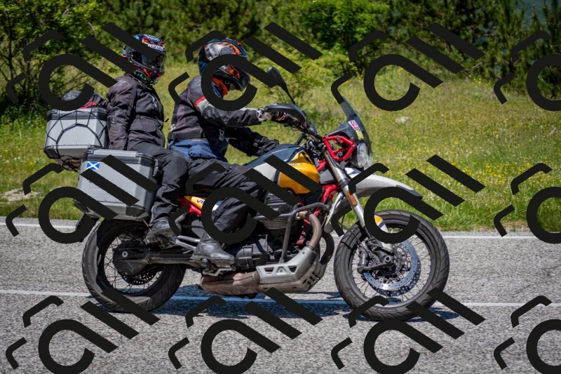 202506081239-DSC_7237_c2