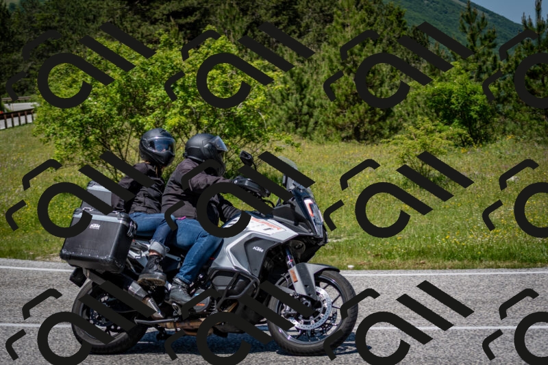 202506081239-DSC_7240_c2