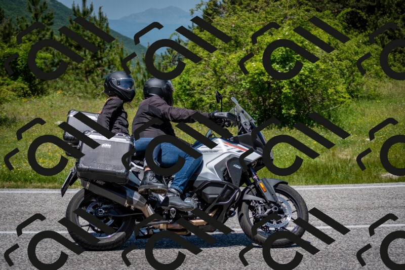 202506081239-DSC_7241_c2