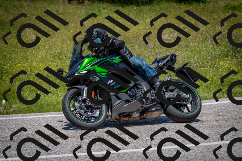 202506081241-DSC_7250_c2