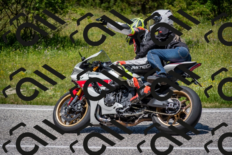 202506081242-DSC_7265_c2