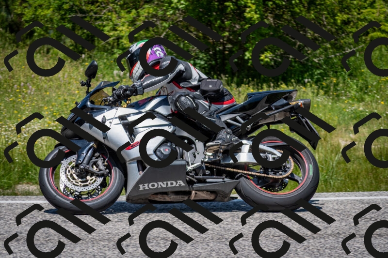 202506081244-DSC_7276_c2