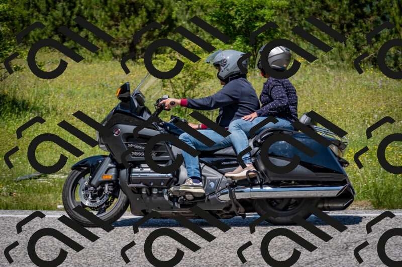 202506081245-DSC_7287_c2